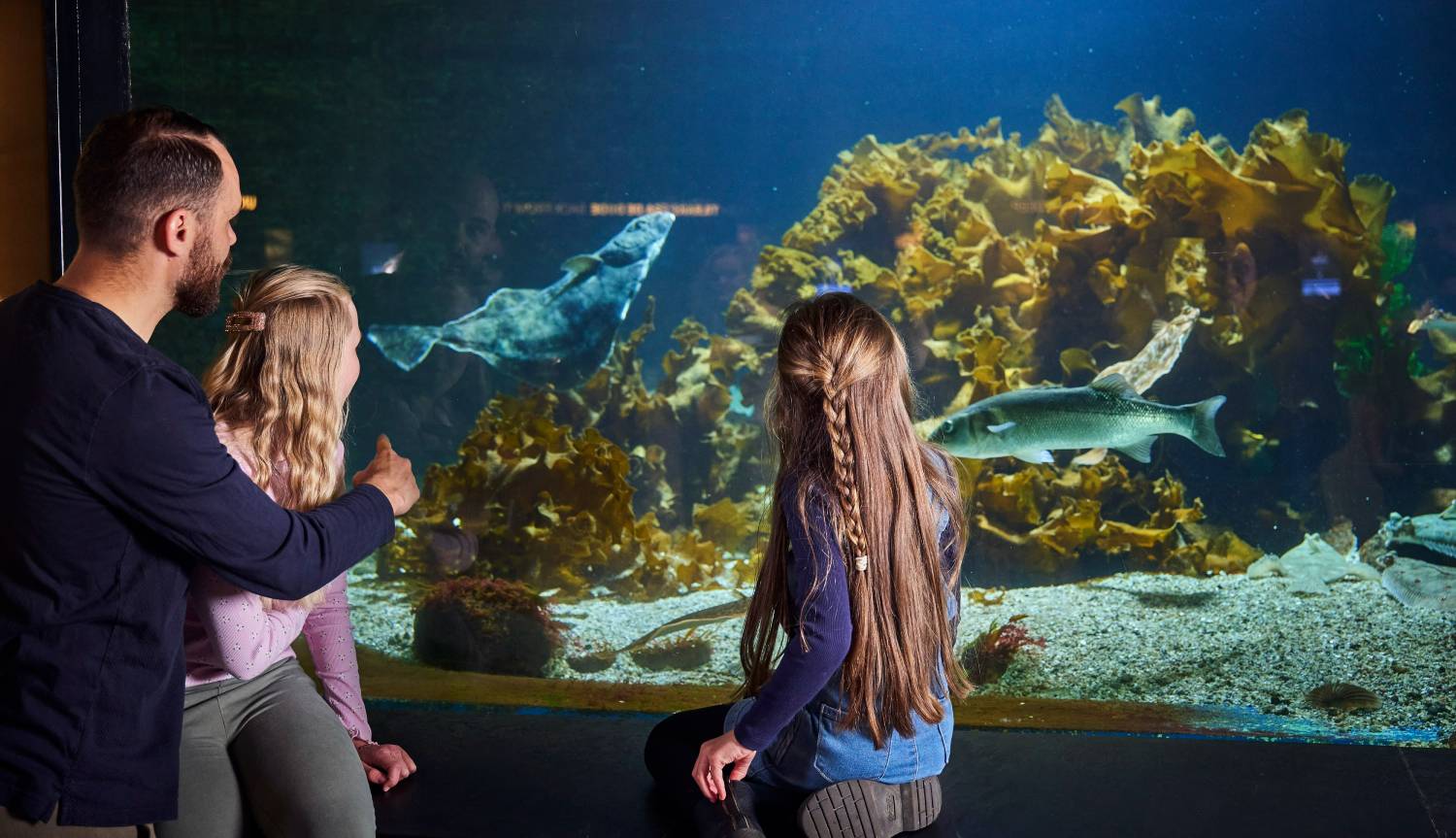 48 hours in Bergen and a visit to the Aquarium