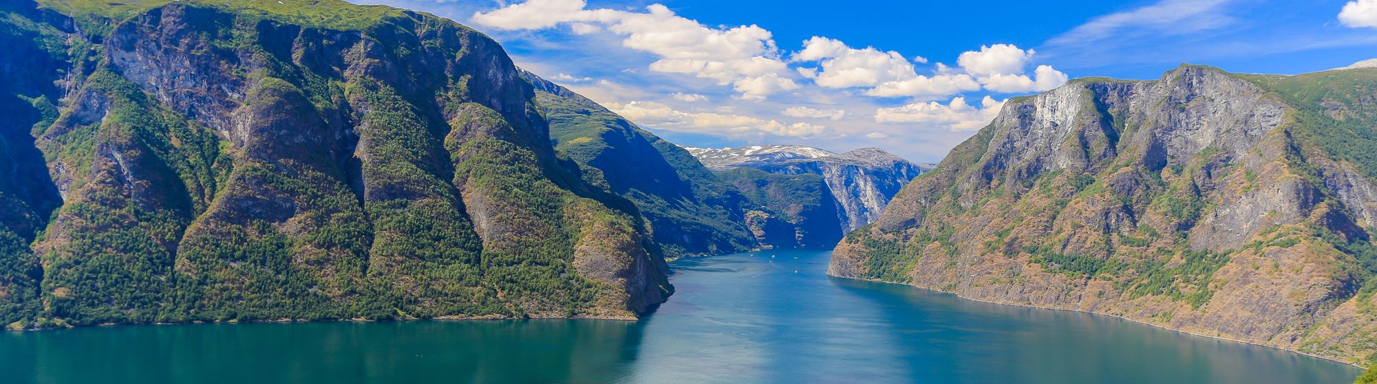 Fjord tours