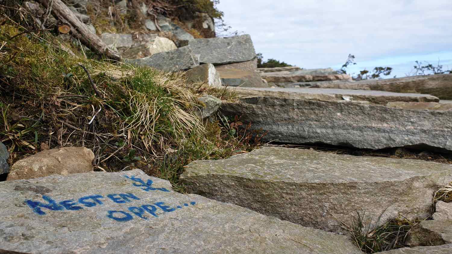 Kongskleiva i Bekkjarvik