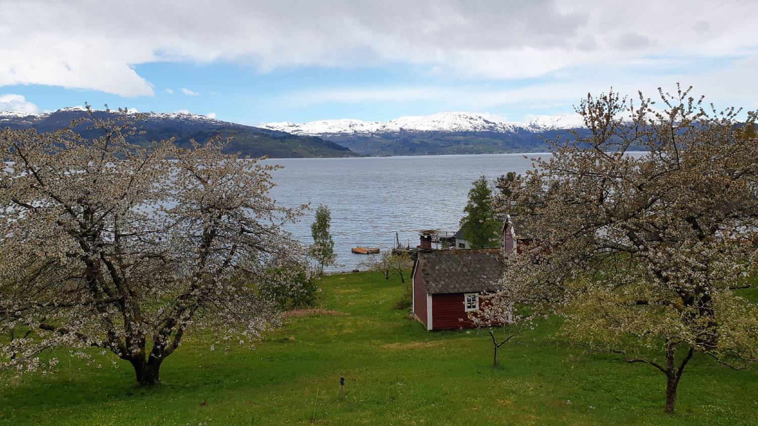Road trip from Bergen to Hardanger - Norway's orchard