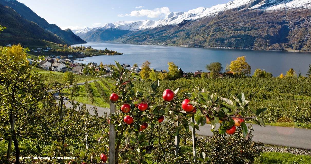 Norgesferie med barn - Epler i Hardanger