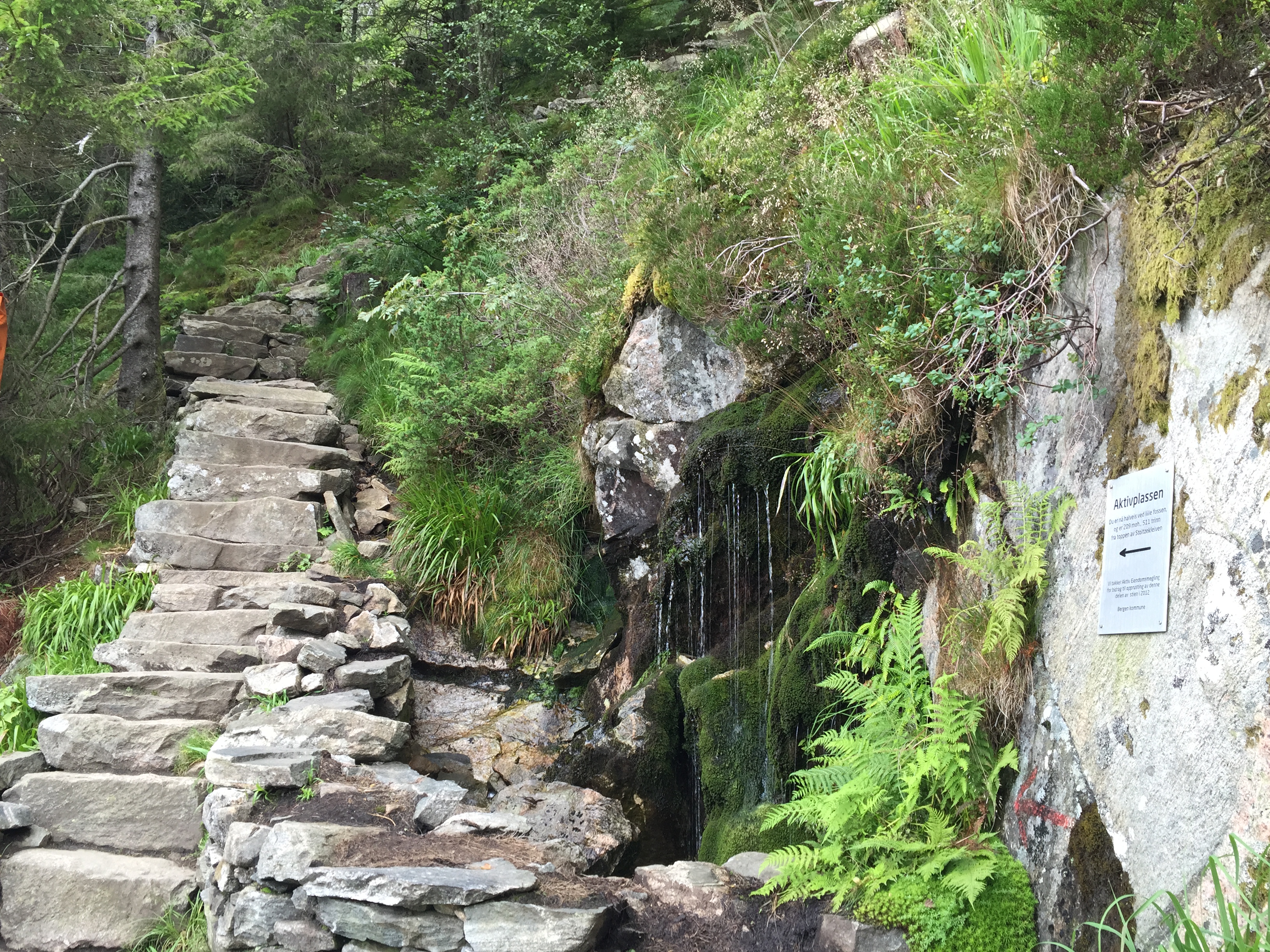 Resultado de imagen de Stoltzekleiven