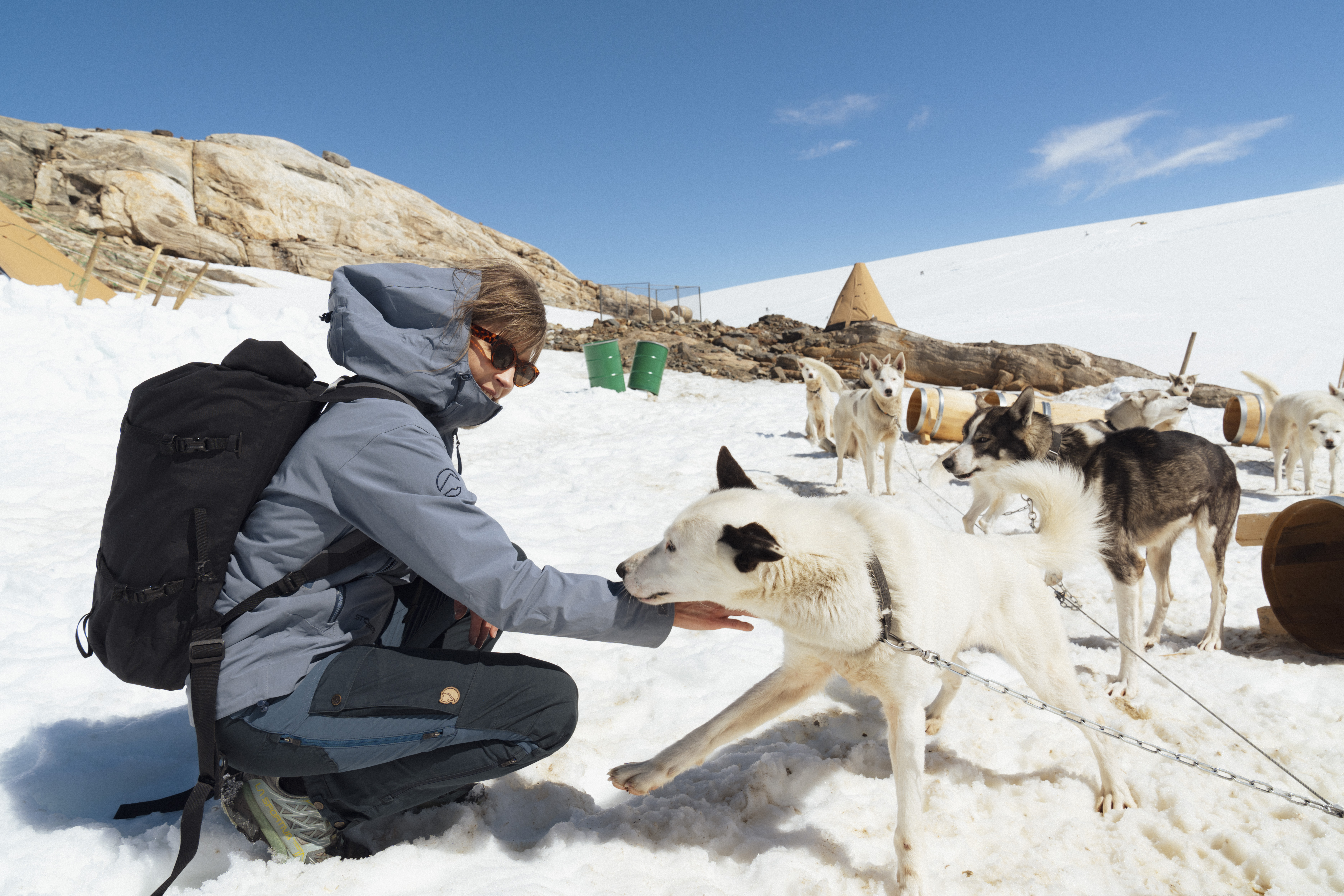 Half day dogsledding at Folgefonna glacier - visitBergen.com