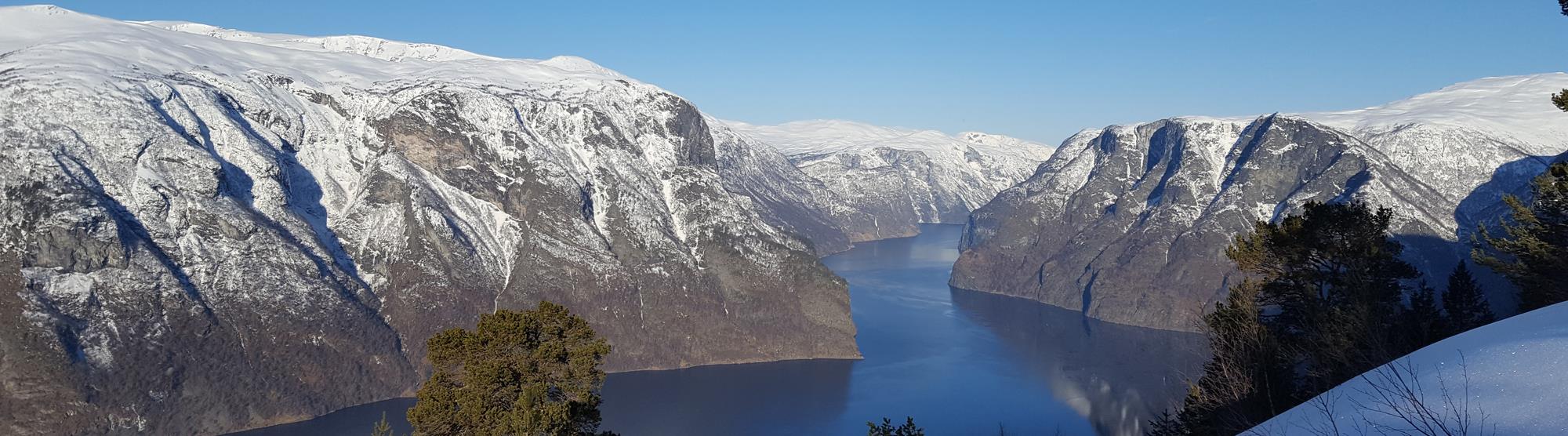 Best time to go on a fjord cruise