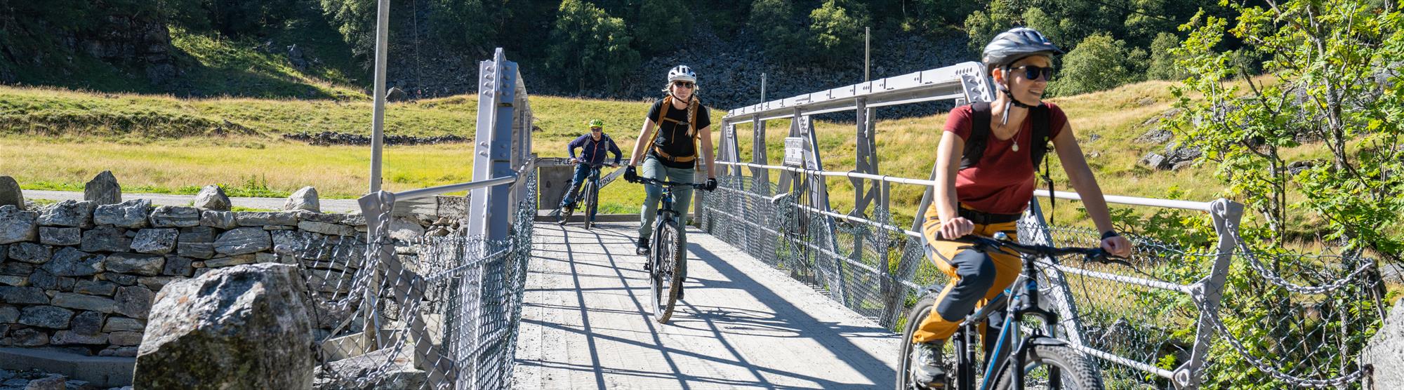 Cycling in Bergen and the region