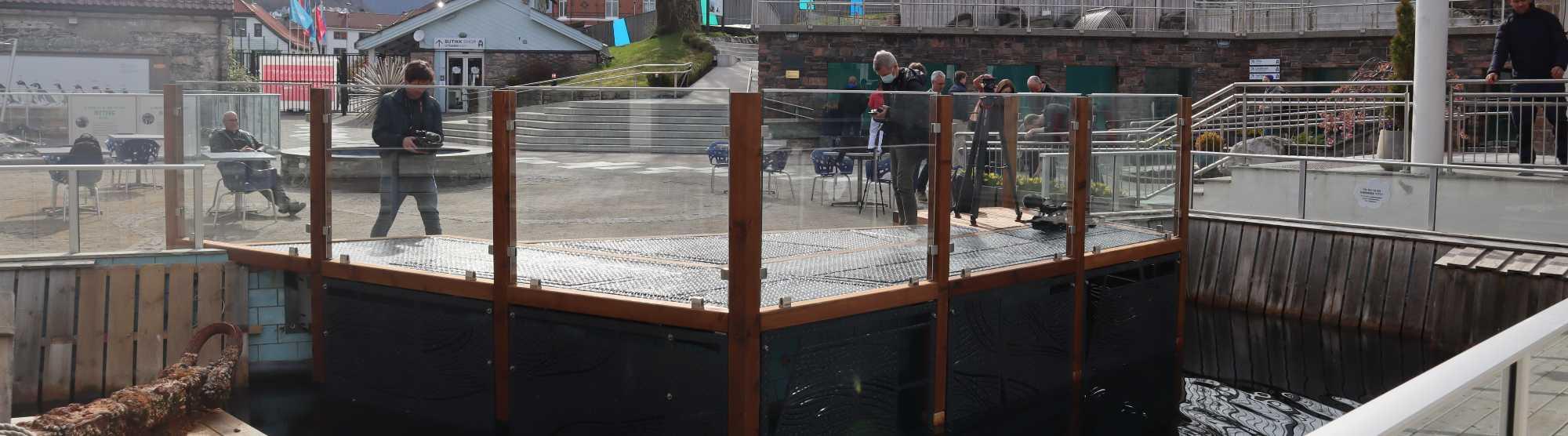 Old ferry becomes underwater fish hotel at Bergen Aquarium