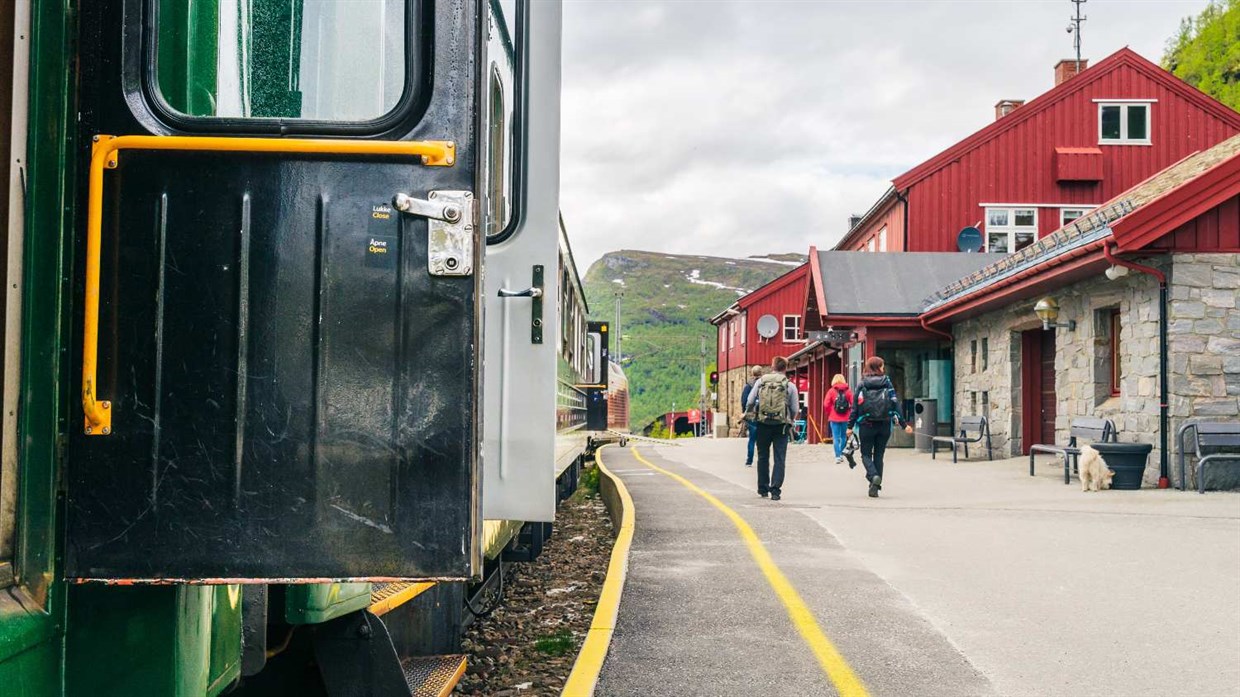 Flåm Railway at Myrdal Station