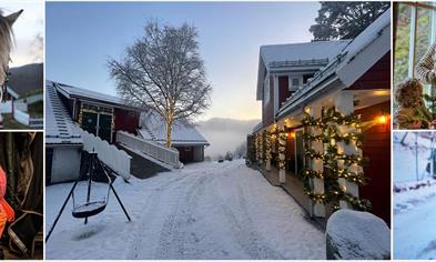 JULEGÅRDSBESØK, søndag 28. desember kl. 14.00 - 16.00