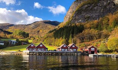 Sognefjord ferie-Hjartholm feriehytter