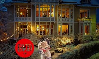 Christmas in Villaveien