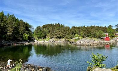 The arboretum and Bergen botanical garden
