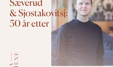 Harmoniens kammerserie