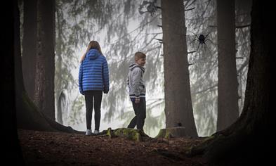 Hekser og fjaseri