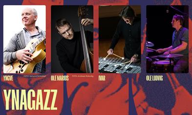 YNAGAZZ