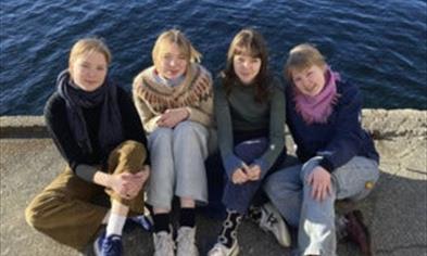 Vepsestikk i Cornerhagen