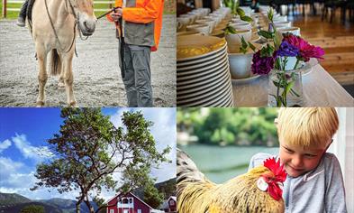 GÅRDSBESØK søndag 2. november kl. 11.00 - 13.00