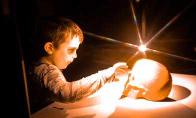 Halloween at Bergen Aquarium