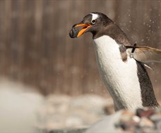 Bergen Aquarium