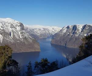 Thumbnail for This is the best time to go on a fjord cruise