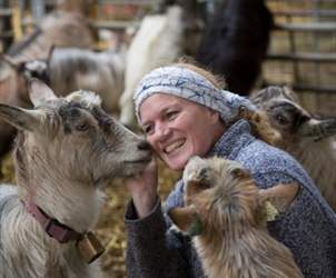 Thumbnail for Award winning cheeses from Bergen and the region