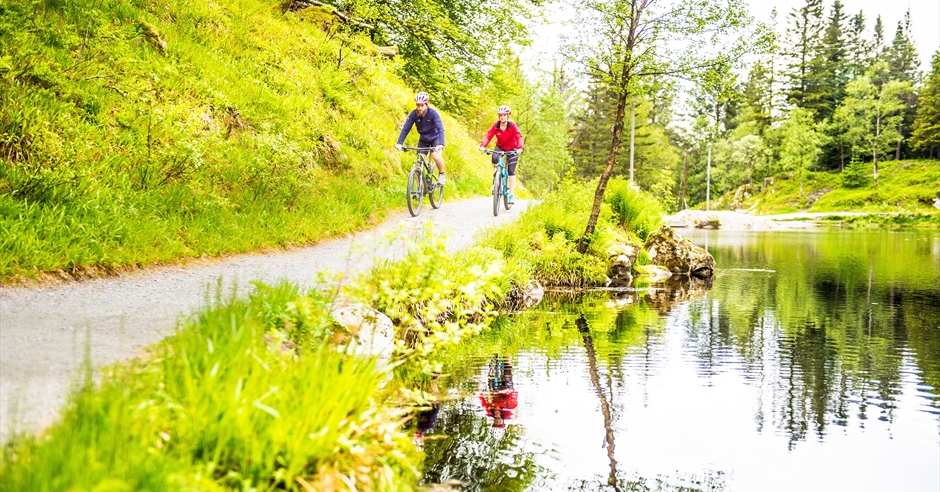 Mountain Bike at Mount Fløyen - visitBergen.com