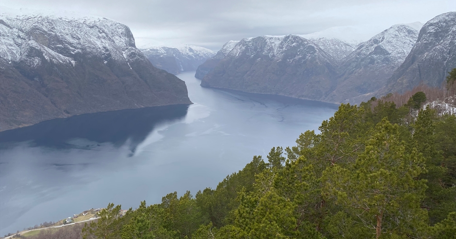 Guided Tour And Fjord Cruise To Nærøyfjorden Flåm And Stegastein Viewpoint 