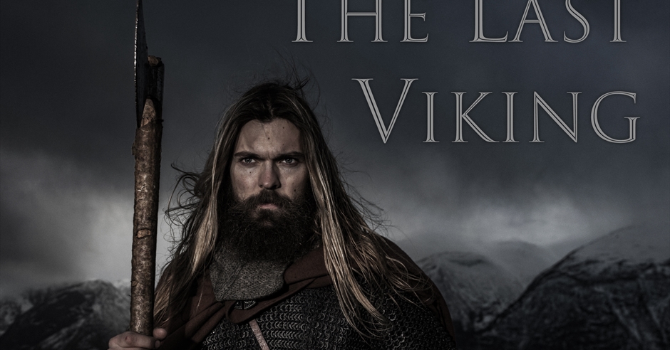 The Last Vikings - Walkthrough, Tips, Review