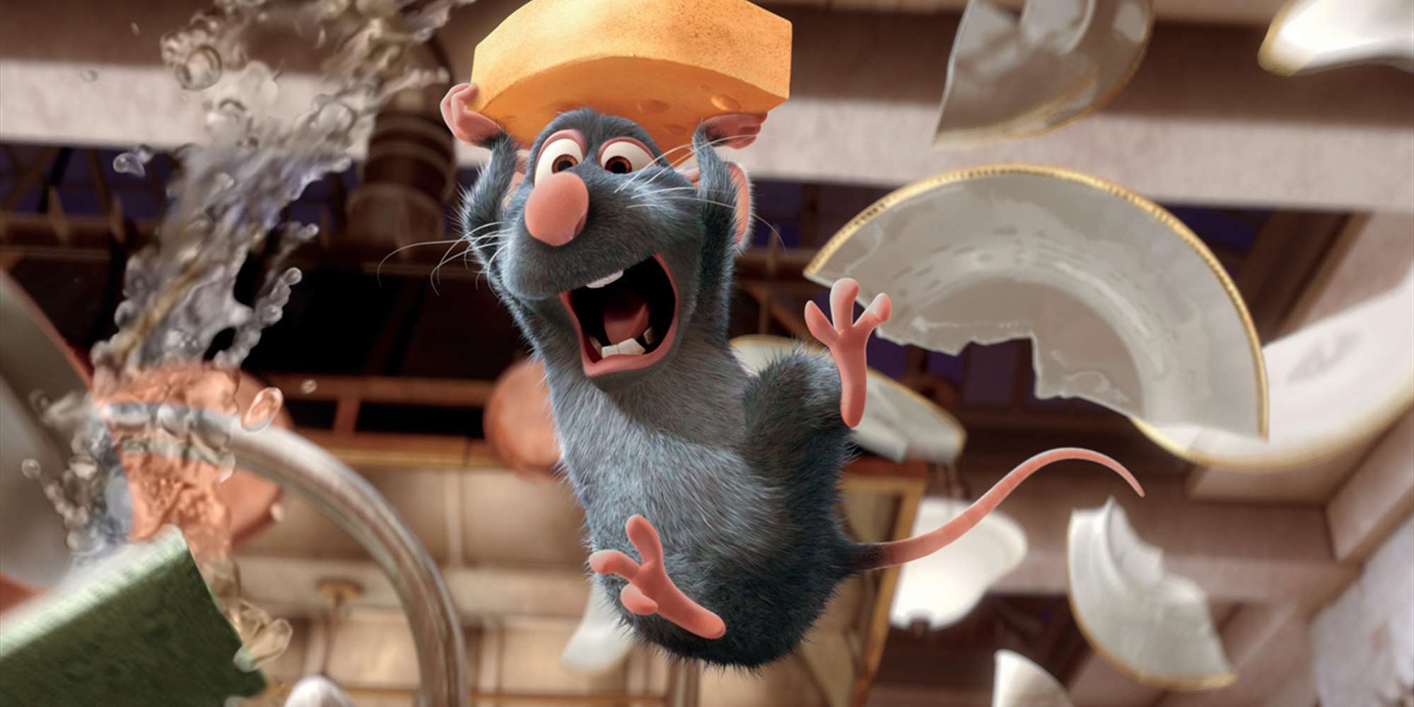 ROTTATOUILLE