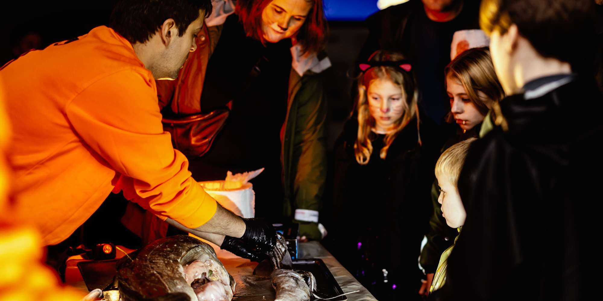 Halloween at Bergen Aquarium