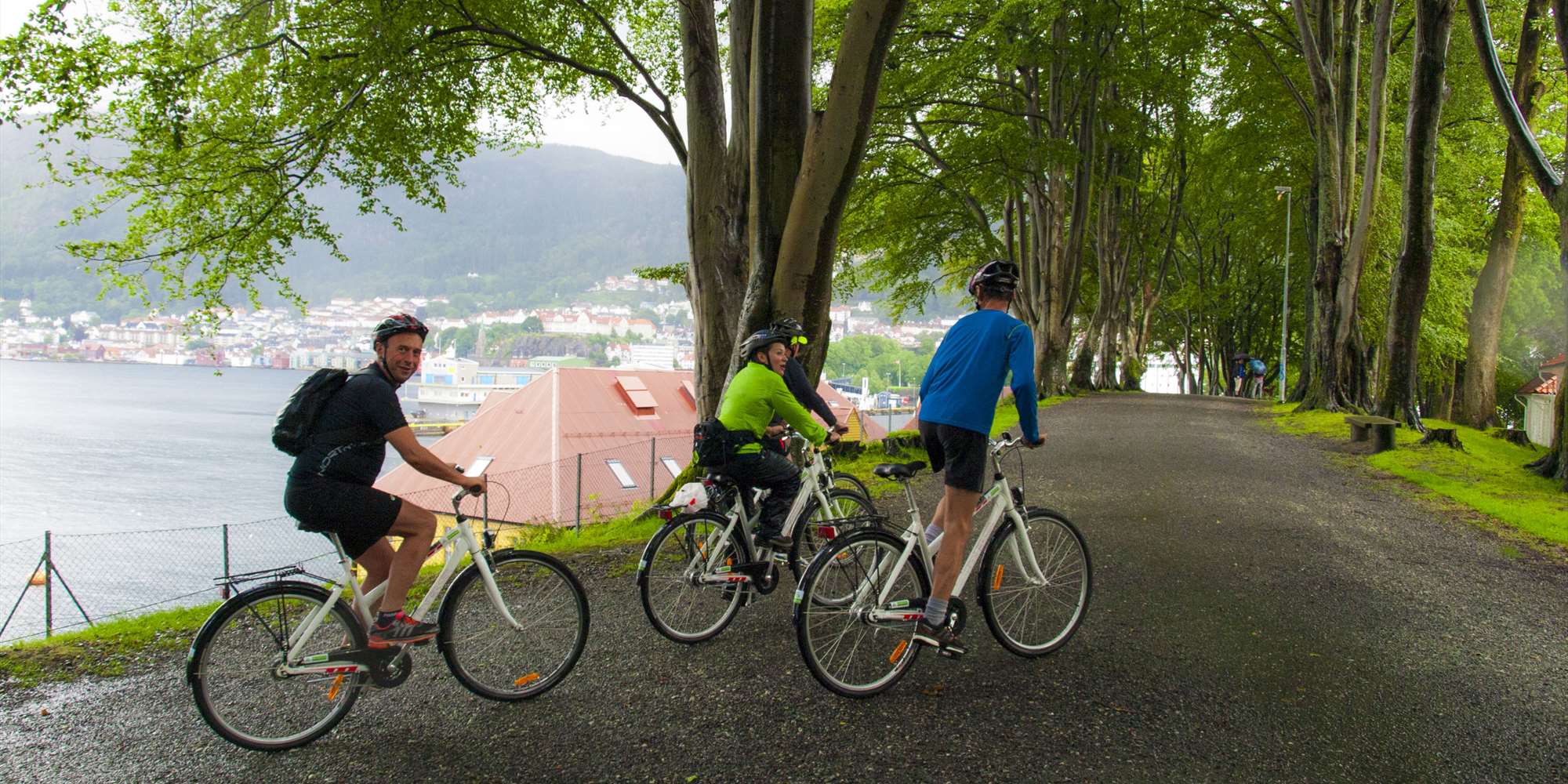 norway city bike ile ilgili gÃ¶rsel sonucu