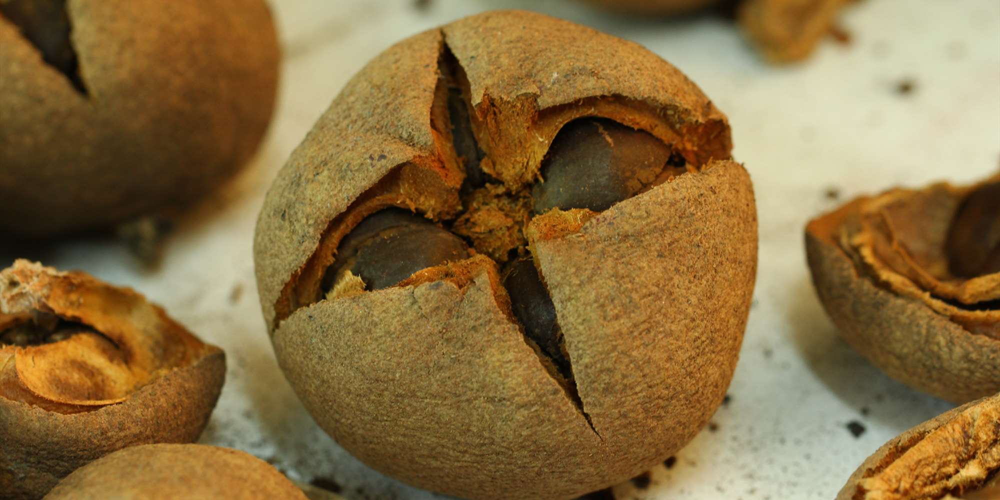 Create art and join in nature discoveries in Nygårdsparken with kunstpilotene.