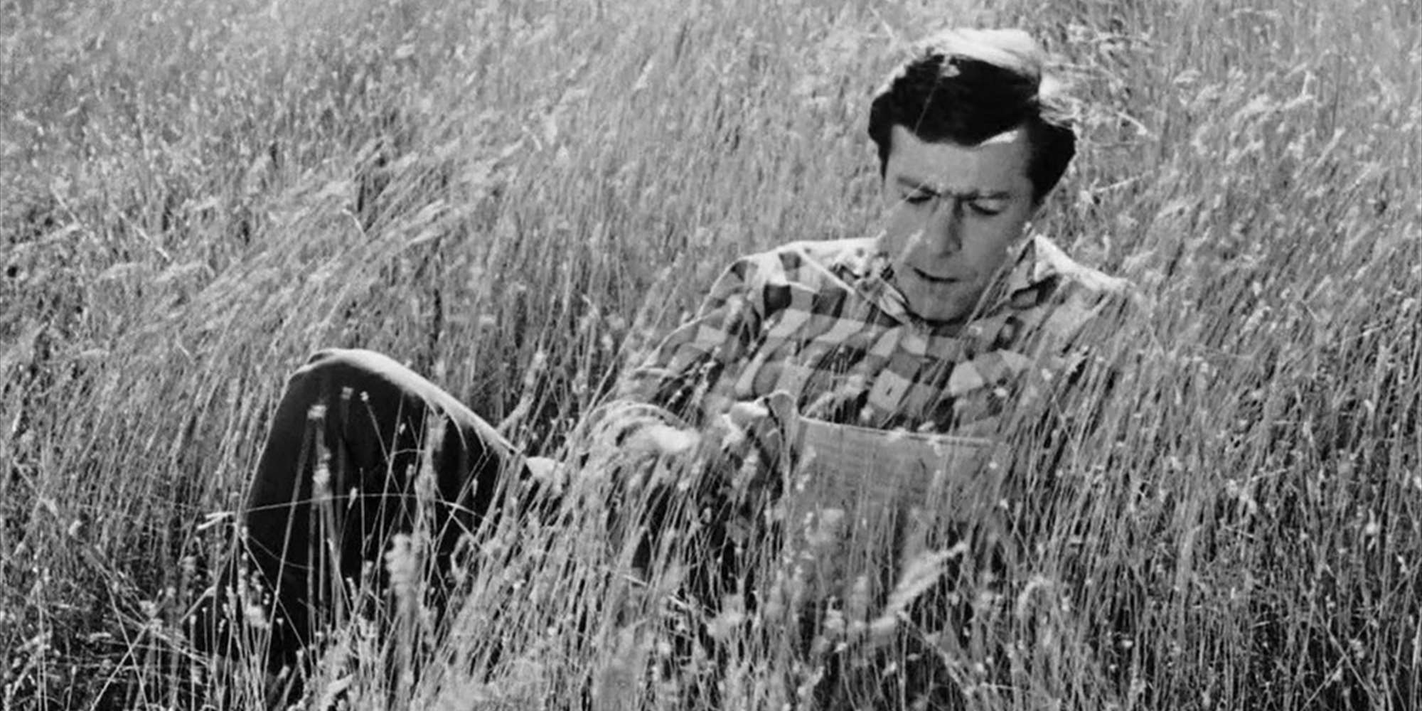 ONCE UPON A TIME THERE WAS A SINGING BLACKBIRD