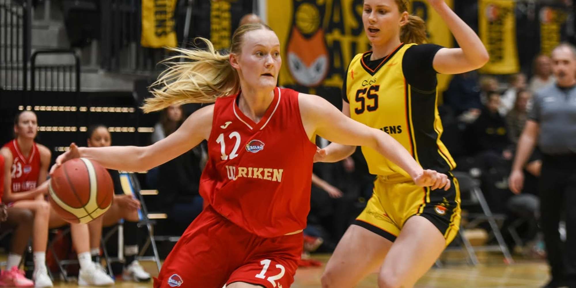 Ulriken Eagles VS Asker Aliens