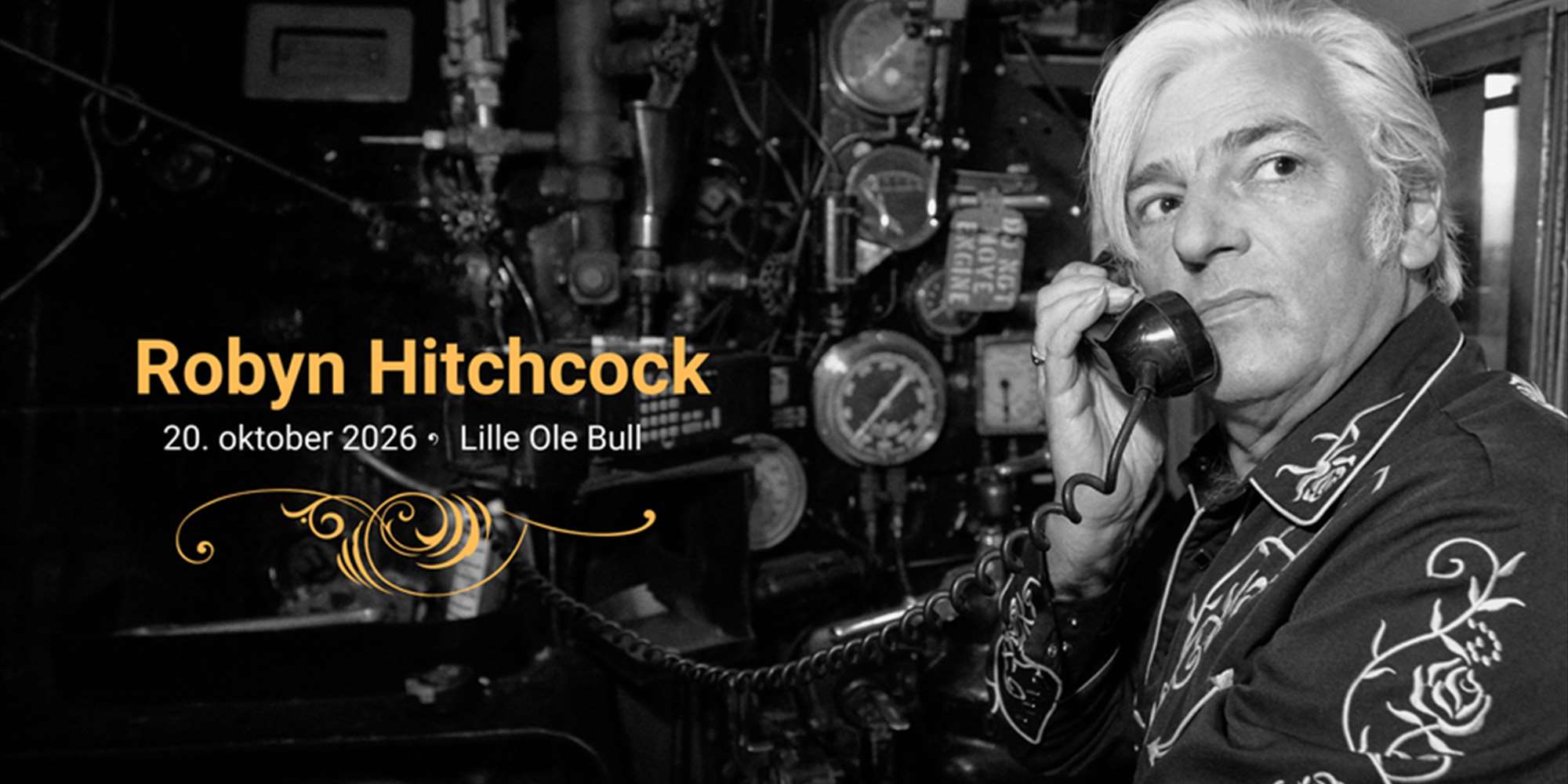 Robyn Hitchcock