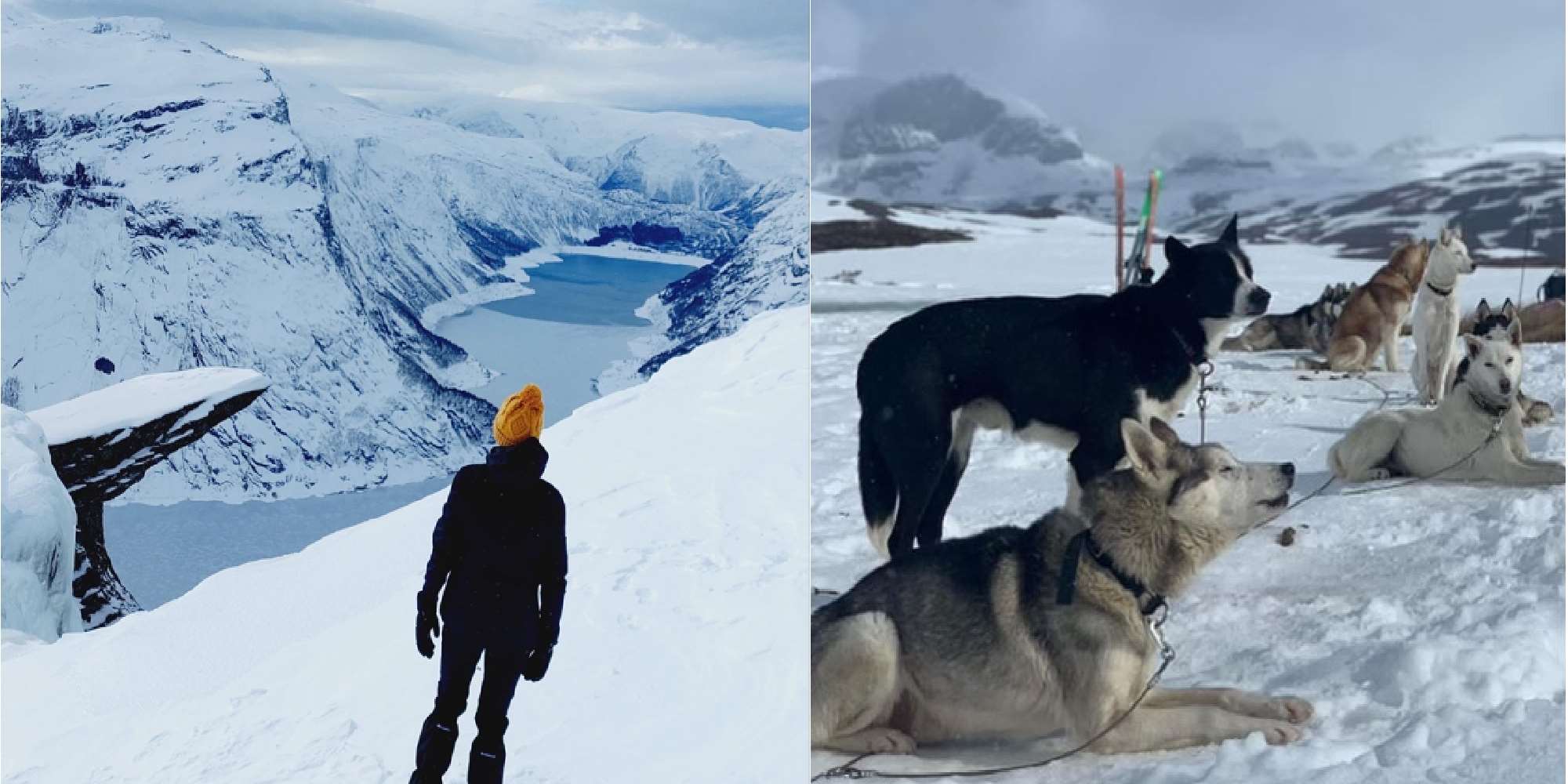 Trolltunga husky hike - visitBergen.com