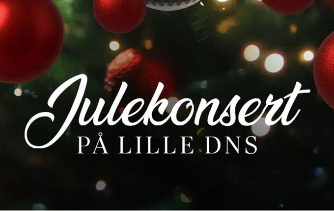 Christmas concert at Lille DNS