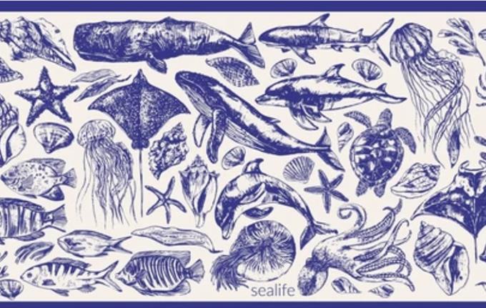 "Save the Whale, Screw the Shrimp"