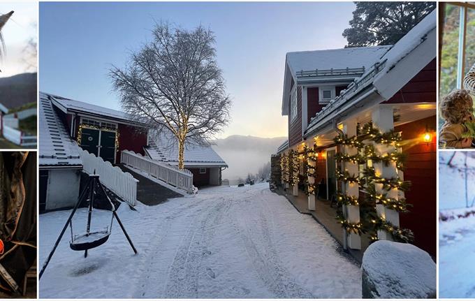 JULEGÅRDSBESØK, lørdag 27. desember kl. 14.00 - 16.00