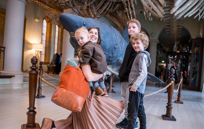 Open House at the University Museum