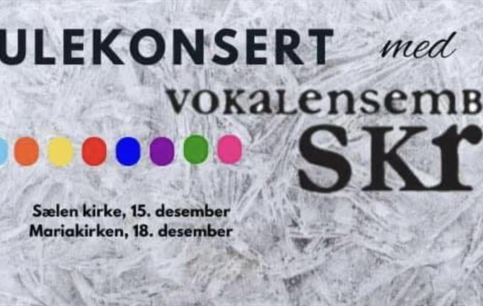 Christmas Concert with Vokalensemblet Skrik - Sælen Church