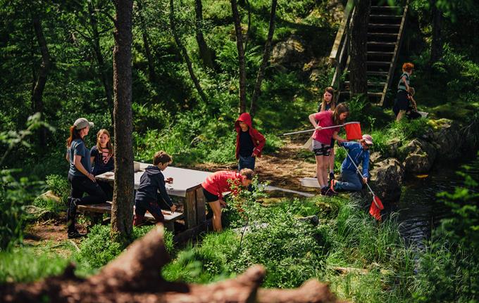 Naturskole sommercamp på Fløyen