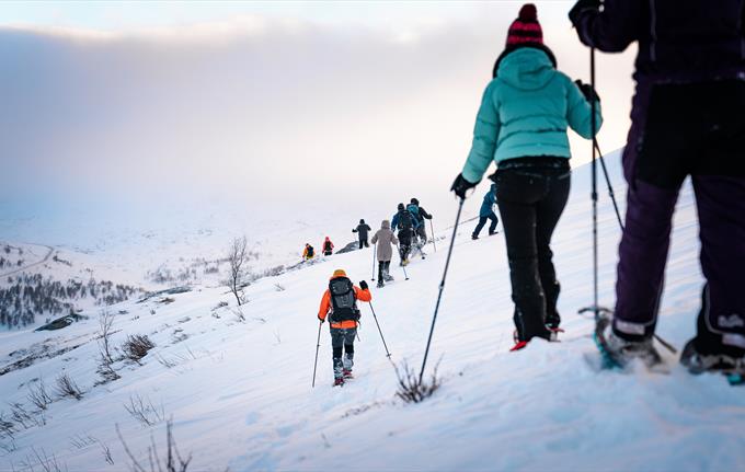 Guided snowshoeeing hike in the Hardangerfjord mountains