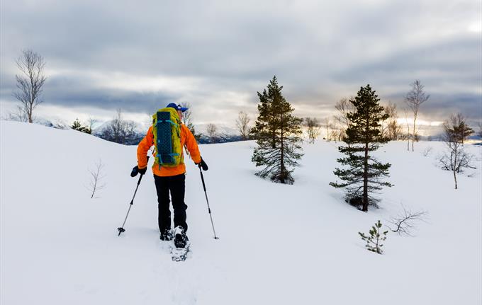 Snowshoe Hiking with Norway Mountain Guides