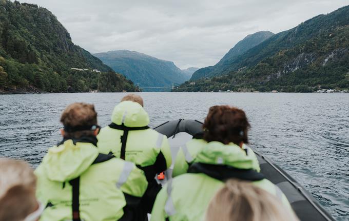 Fjord safari on the Hardangerfjord in a fast paced RIB-boat