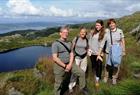 Guided hike: "On Top of Bergen"