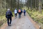 Sie wandern auf Schotterwegen und schönen Pfaden