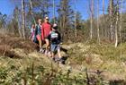 Family hike
