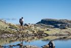 Trolltunga hike