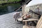 Eidegrend Boutique Hotell