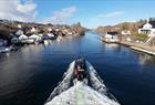 1-hour fjord safari in a RIB-boat to Alverstraumen